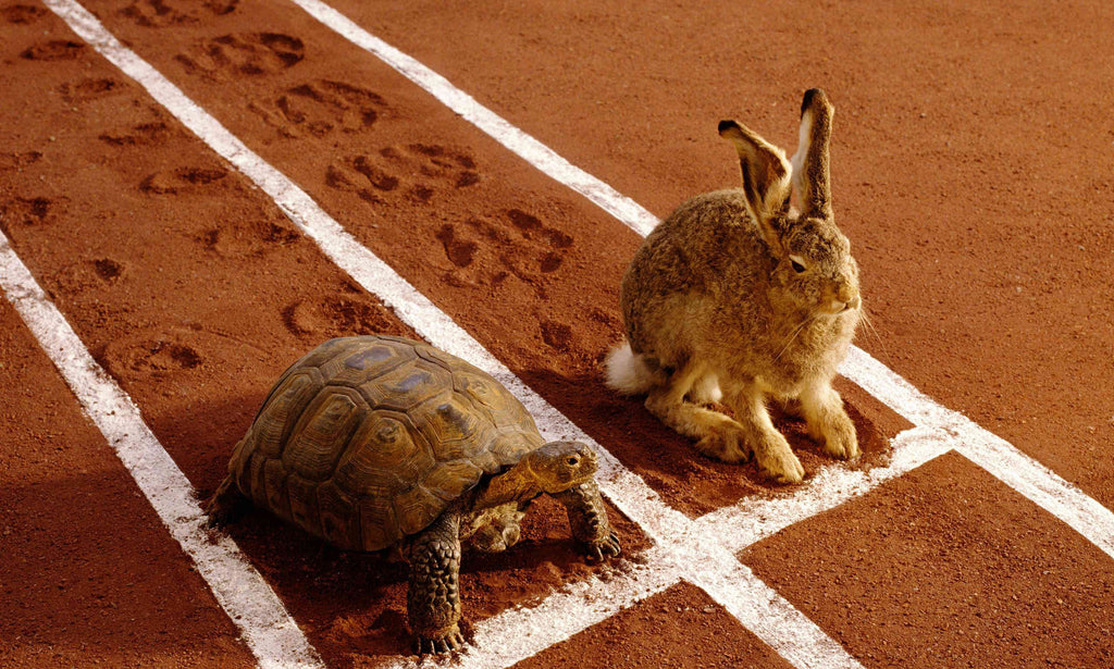 Overcoming Nail Biting is a Marathon, Not a Sprint